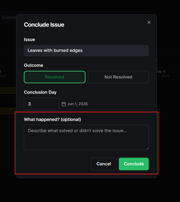 Conclude Issue form with Outcome and resolution description fields